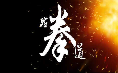 武術(shù) 跆拳道 鍛煉